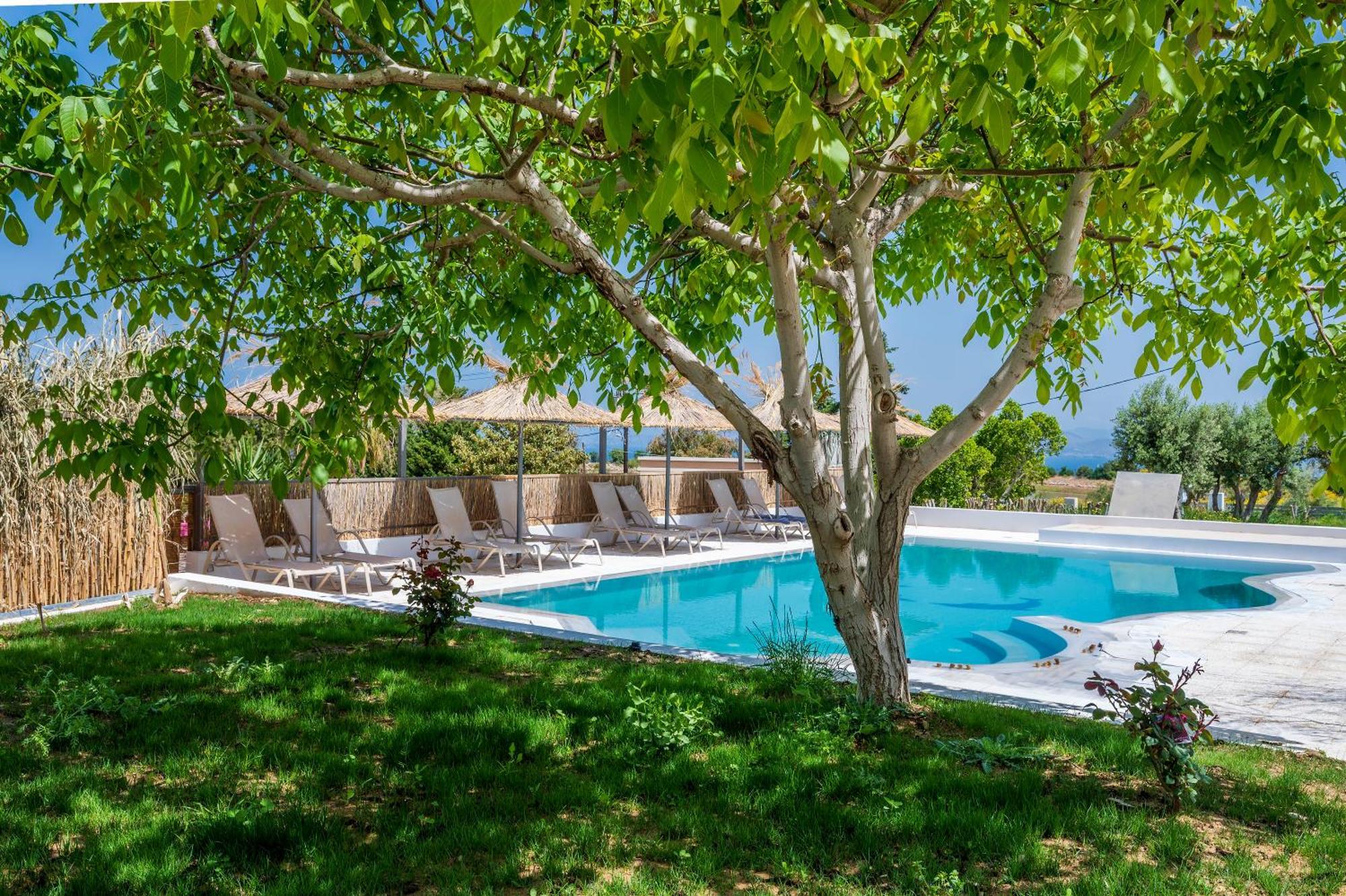 Homes Eva'S Garden, Poolside Cozy Havens In Kos Agios Dimitrios  Exterior photo